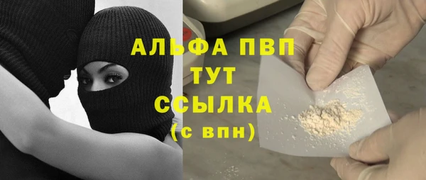 винт Абаза