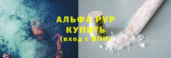 винт Абаза