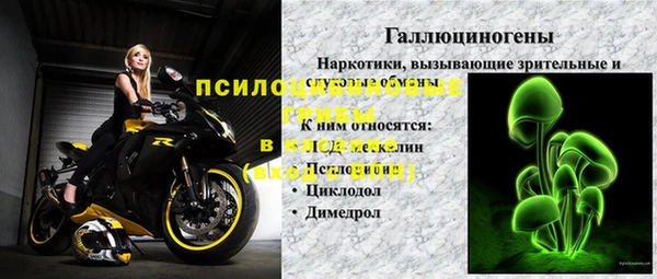 винт Абаза