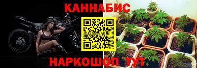 МДПВ Краснознаменск