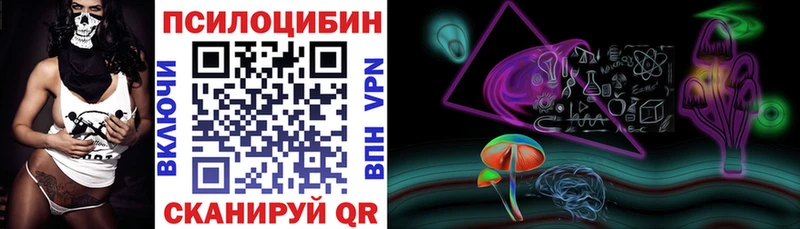 закладка  Грозный  Галлюциногенные грибы Cubensis 