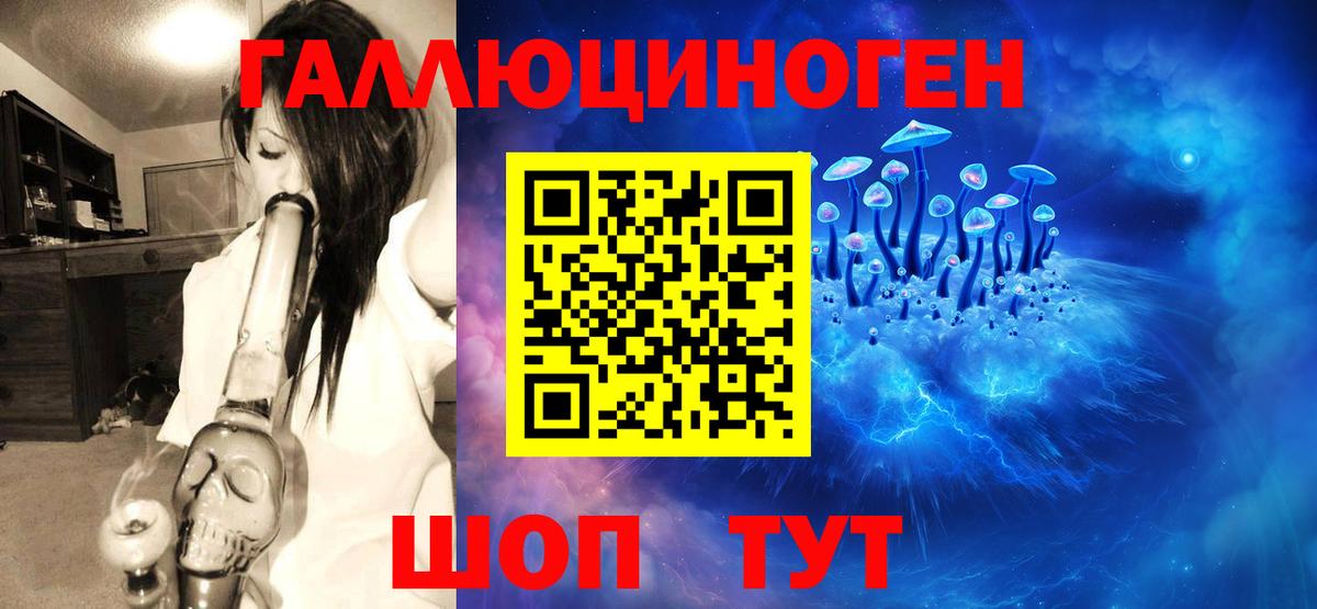 Галлюциногенные грибы MAGIC MUSHROOMS  Вход с VPN  Грозный  дарнет шоп  Псилоцибиновые грибы MAGIC MUSHROOMS 